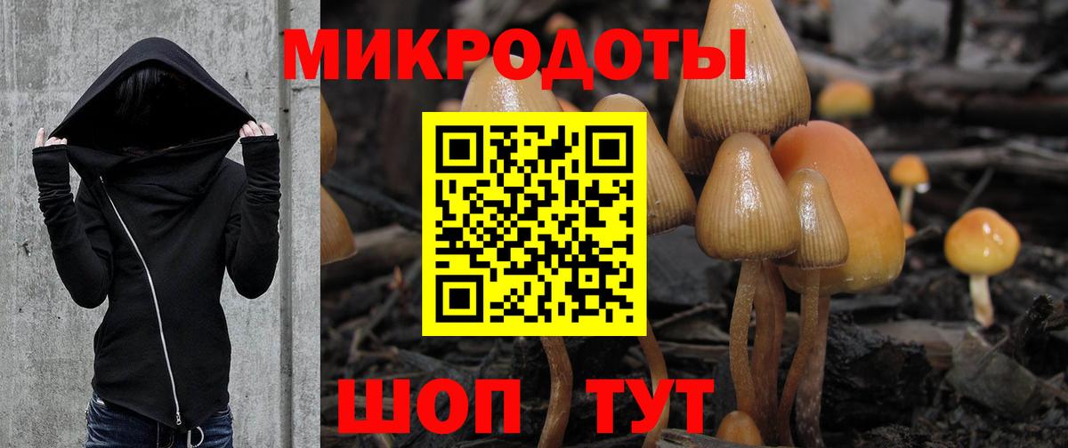 Галлюциногенные грибы Psilocybine cubensis  Вход с VPN  цена наркотик  Псилоцибиновые грибы Cubensis  Лыткарино 