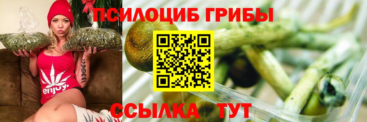 Псилоцибиновые грибы прущие грибы Лыткарино